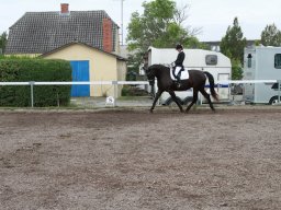 img_5834_web